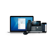 Office Centrex